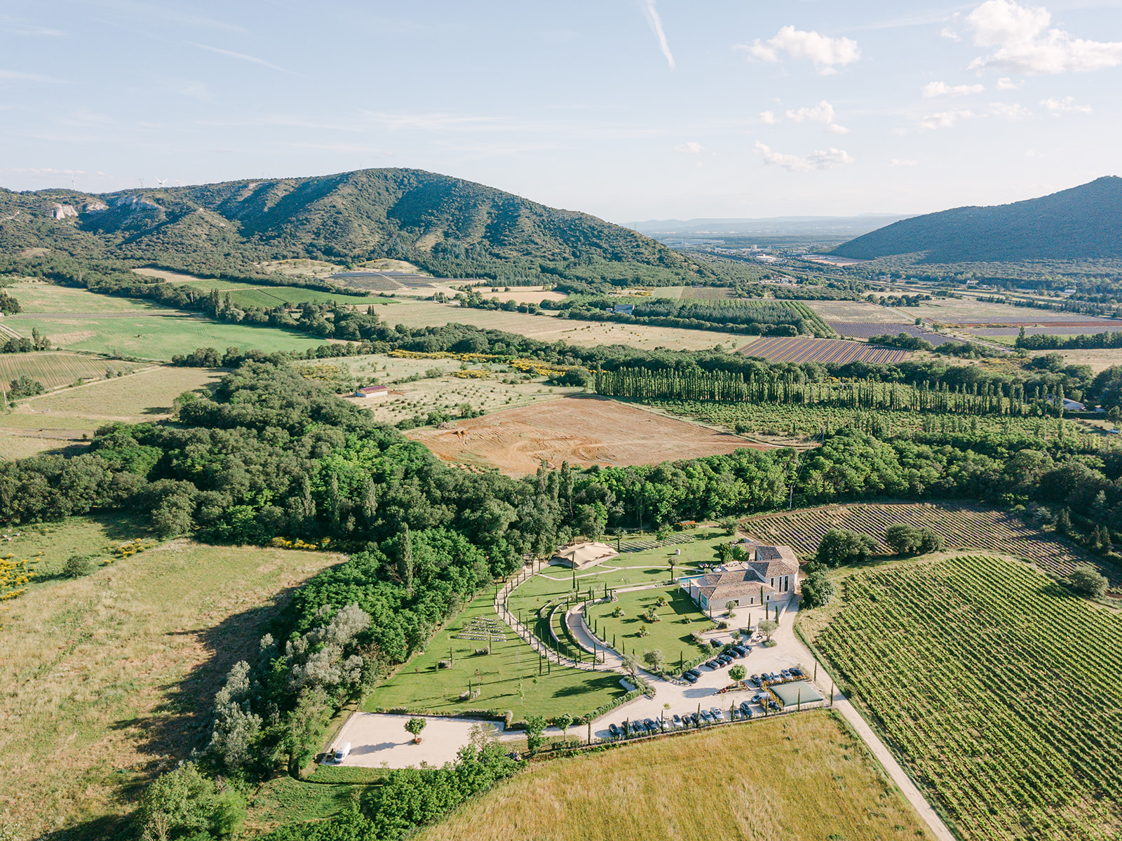 Demeure en pierre provençale entourée de lavandes et d'oliviers